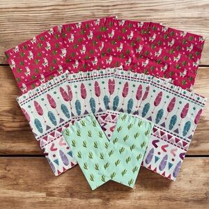 (10) 6x9 & 10x13 Llamas, Cactus and Feathers Mailers (Pack #12)